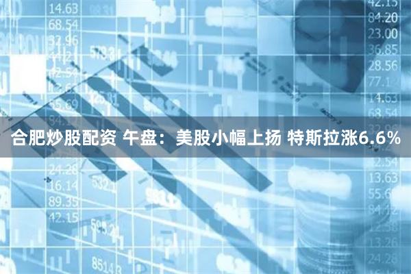 合肥炒股配资 午盘：美股小幅上扬 特斯拉涨6.6%