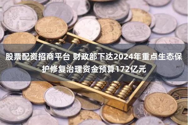 股票配资招商平台 财政部下达2024年重点生态保护修复治理资金预算172亿元