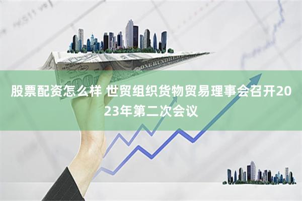 股票配资怎么样 世贸组织货物贸易理事会召开2023年第二次会议