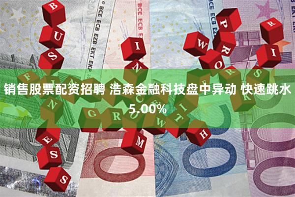 销售股票配资招聘 浩森金融科技盘中异动 快速跳水5.00%