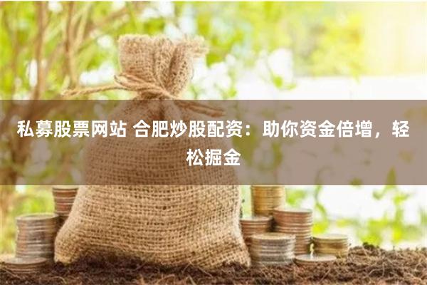 私募股票网站 合肥炒股配资：助你资金倍增，轻松掘金